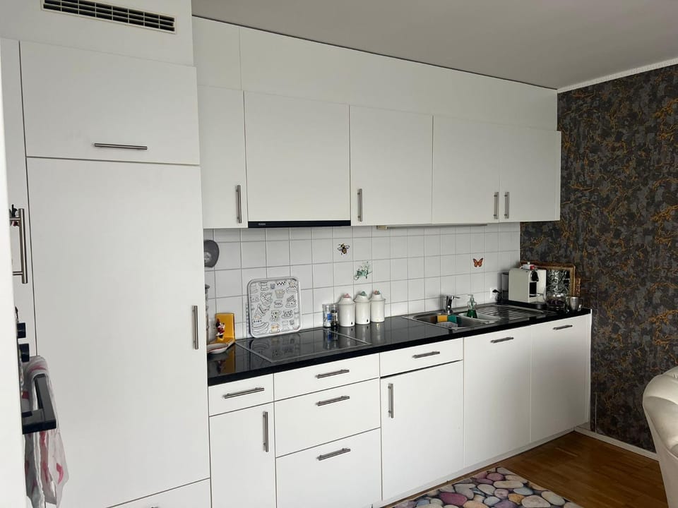 Elegante Wohnung in Basel, direkt am Messeplatz Apartment in Basel