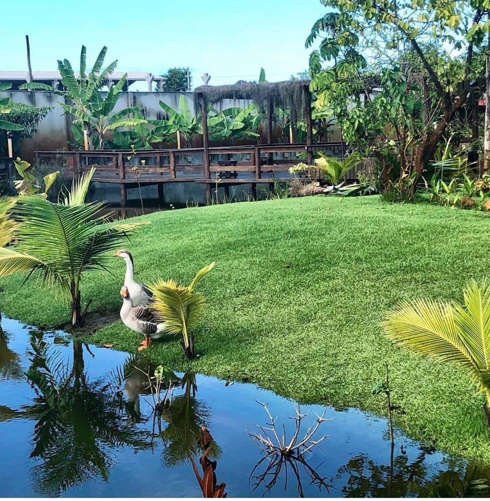 Natural landscape, Garden, Garden view, Lake view