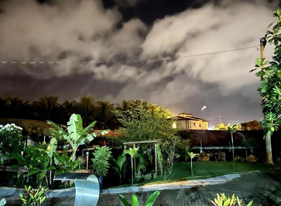 Night, Garden, Garden view
