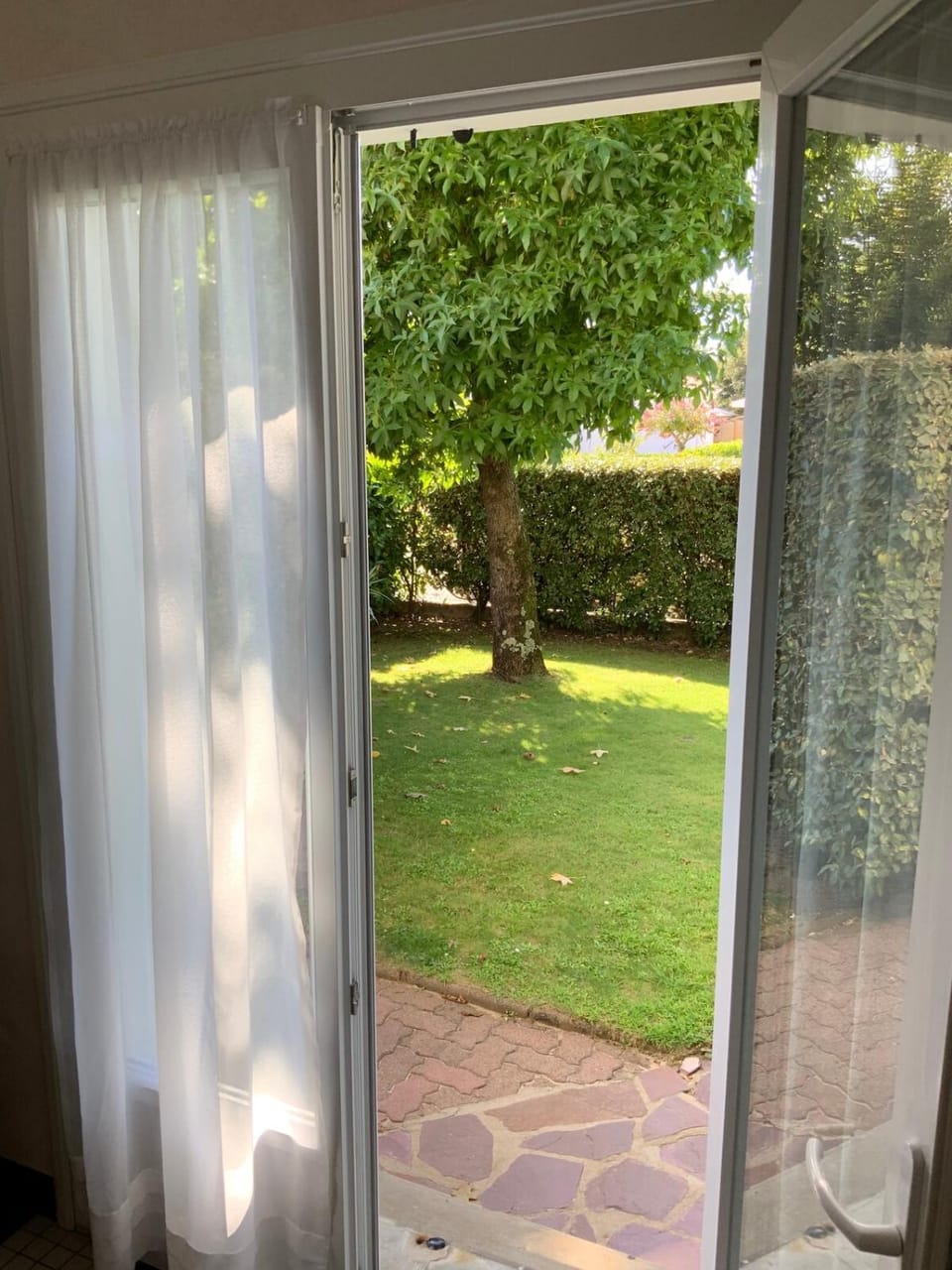 Day, Garden, Garden view