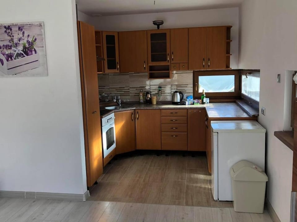 Ubytování u Moravců - Dolní Tošanovice House in Czechia