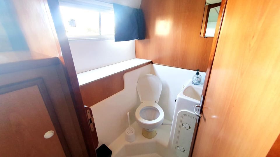 Shower, Toilet, Bathroom, Photo of the whole room