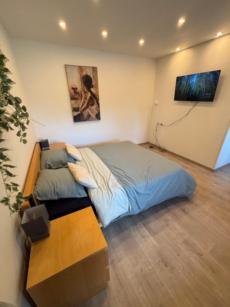 Photo of the whole room