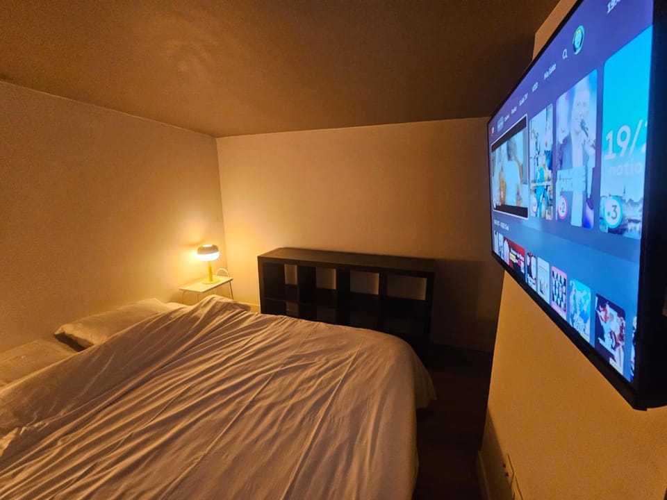 TV and multimedia