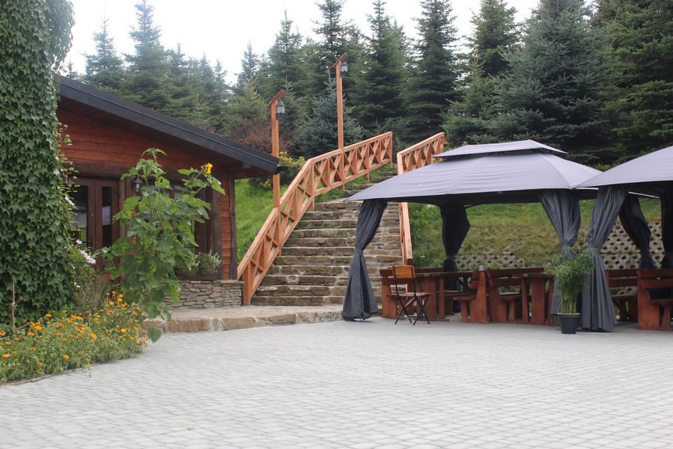 Patio, Restaurant/places to eat, Balcony/Terrace