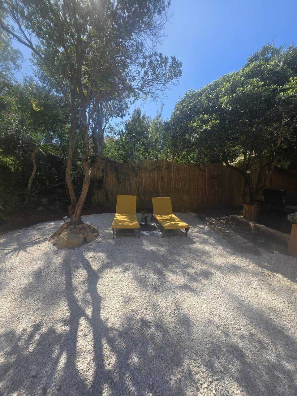 Garden view