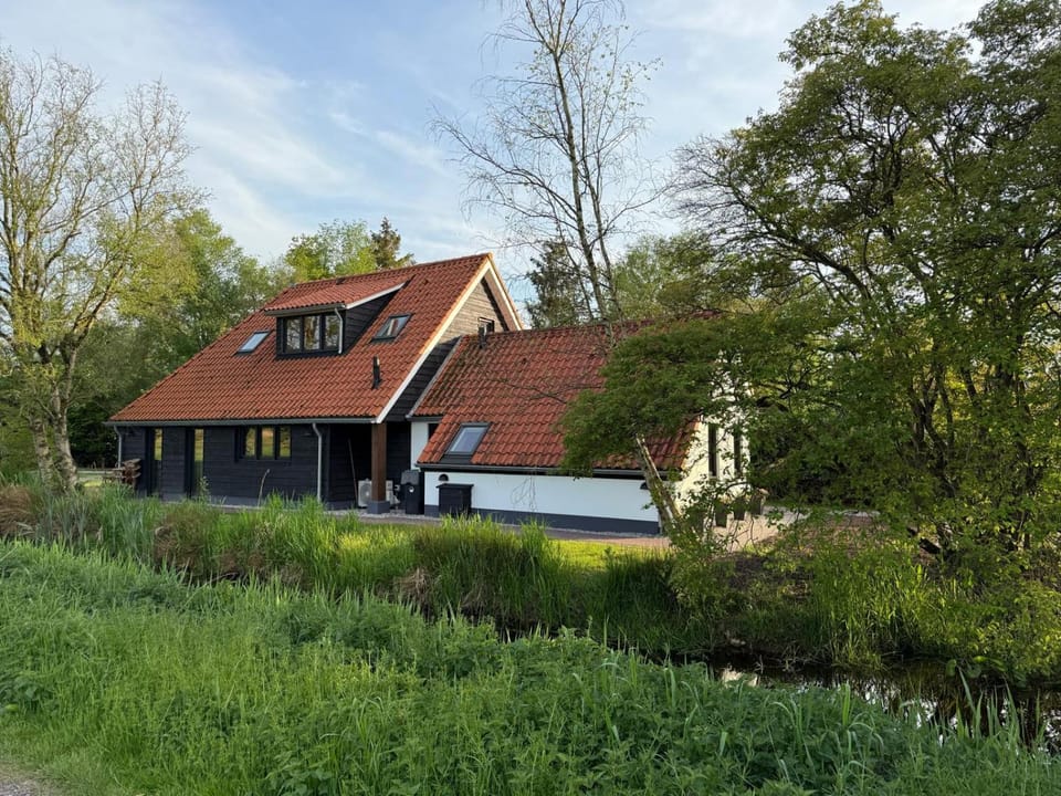 Natural landscape, Garden, Garden view