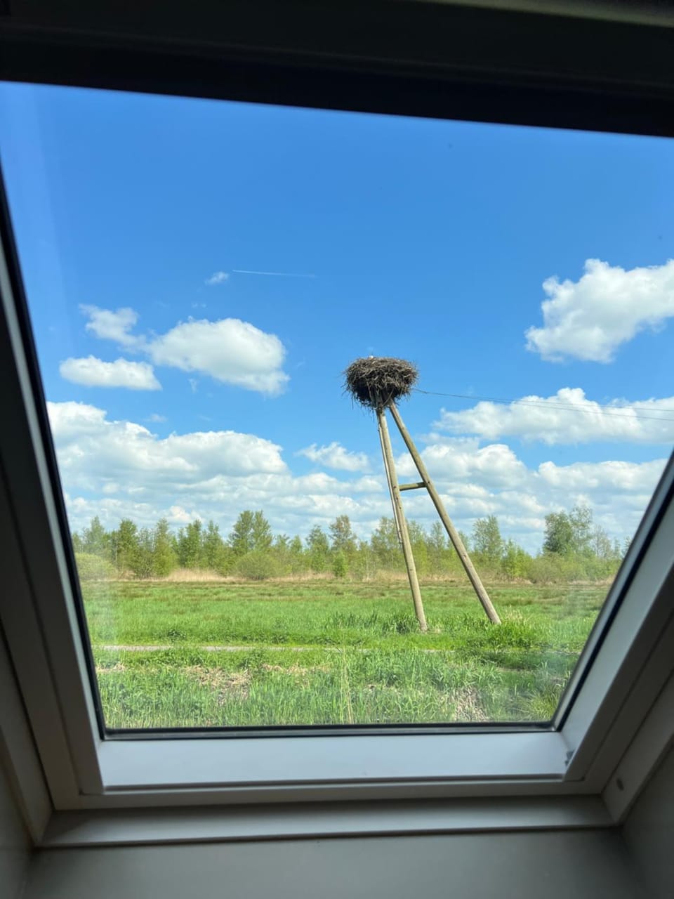 Day, Natural landscape, Garden, Garden view