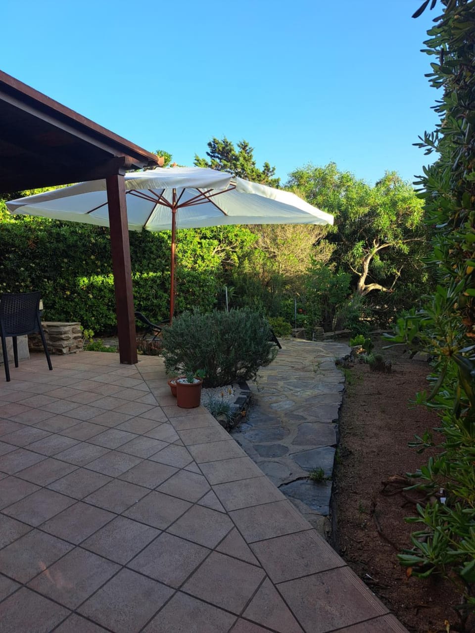 Patio, Garden, Garden