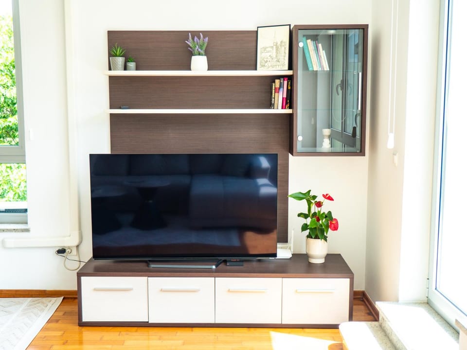 TV and multimedia