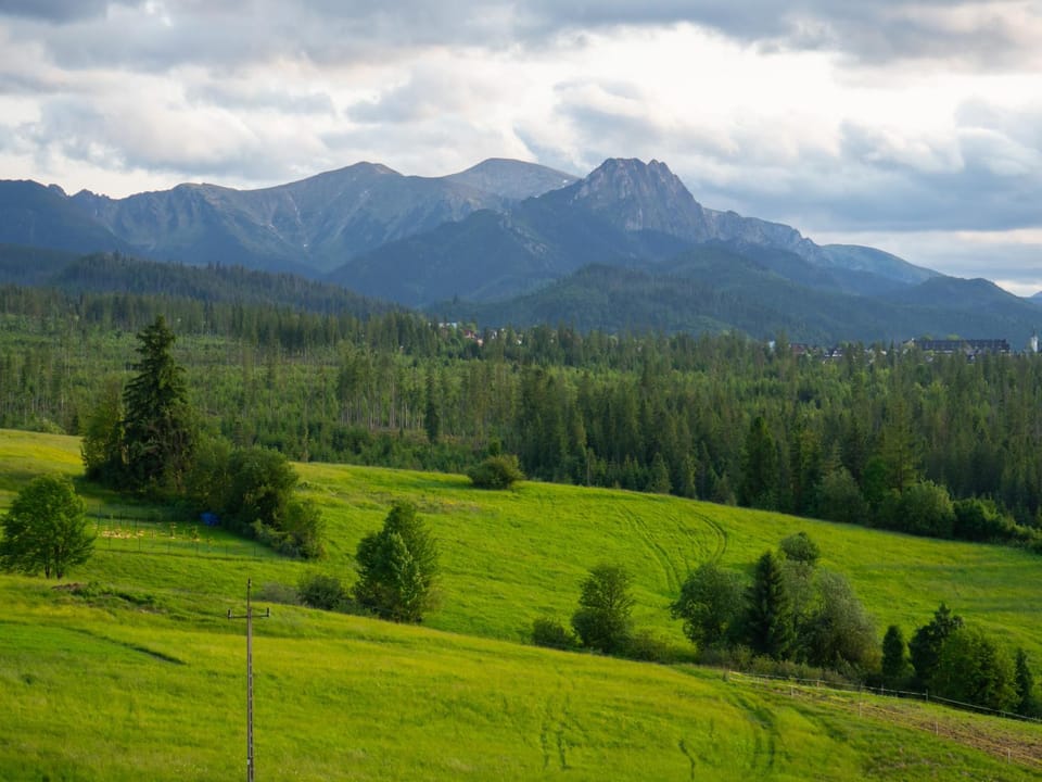 Natural landscape, Garden, Mountain view