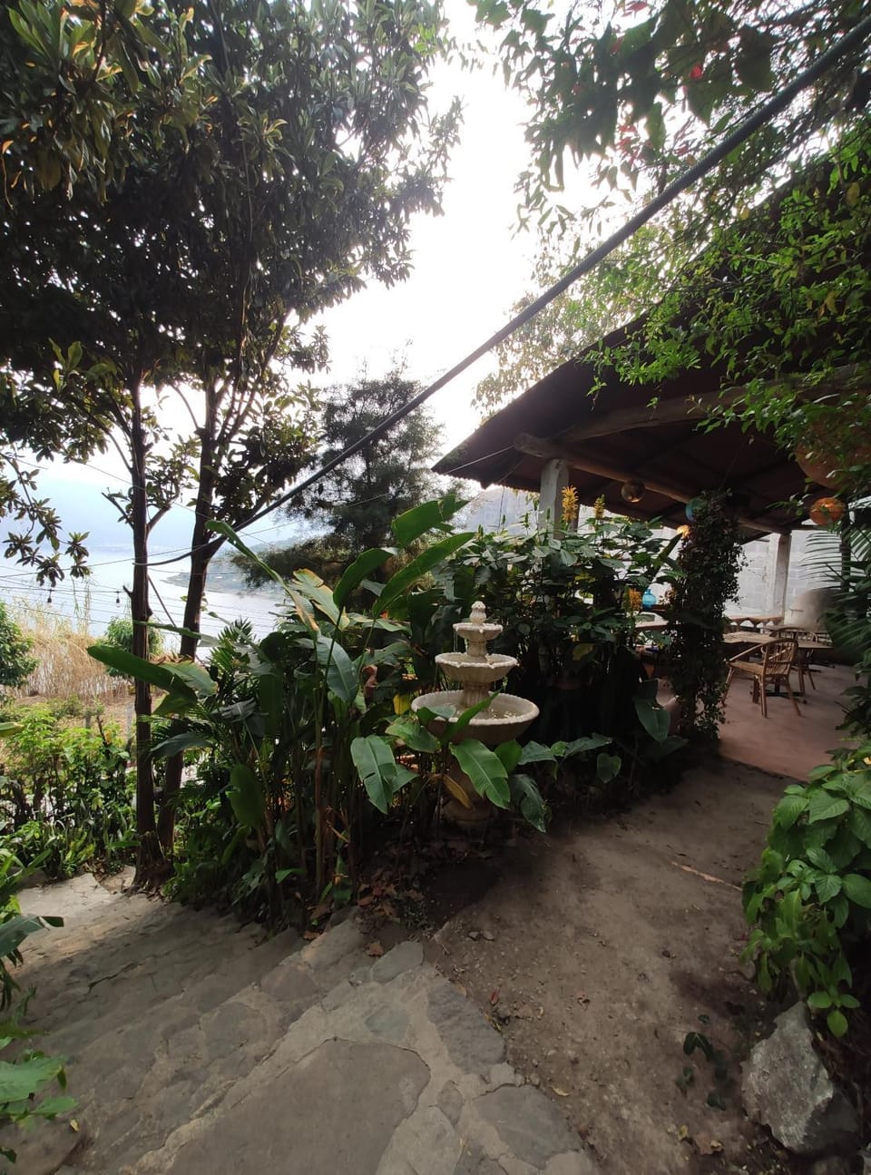 Natural landscape, Garden, Garden view