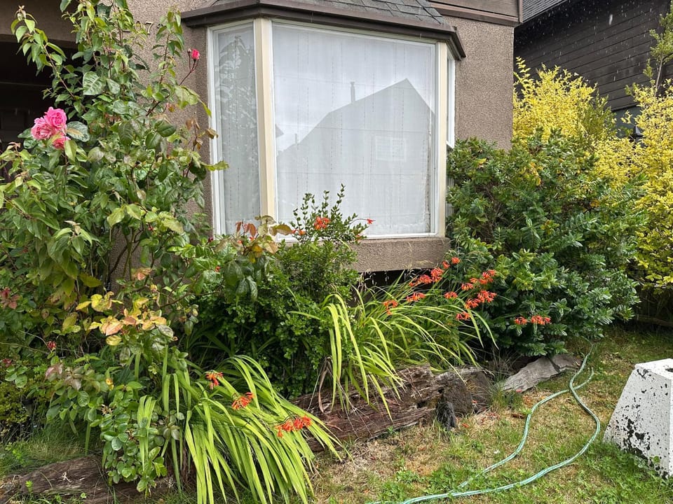 Garden, Garden view