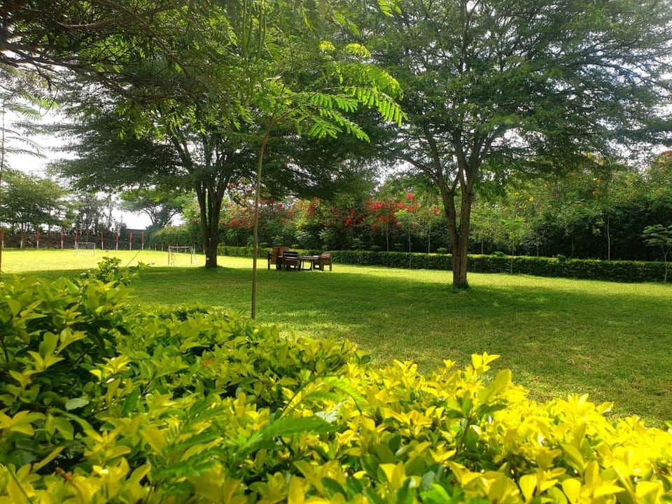 Day, Natural landscape, Garden, Garden view
