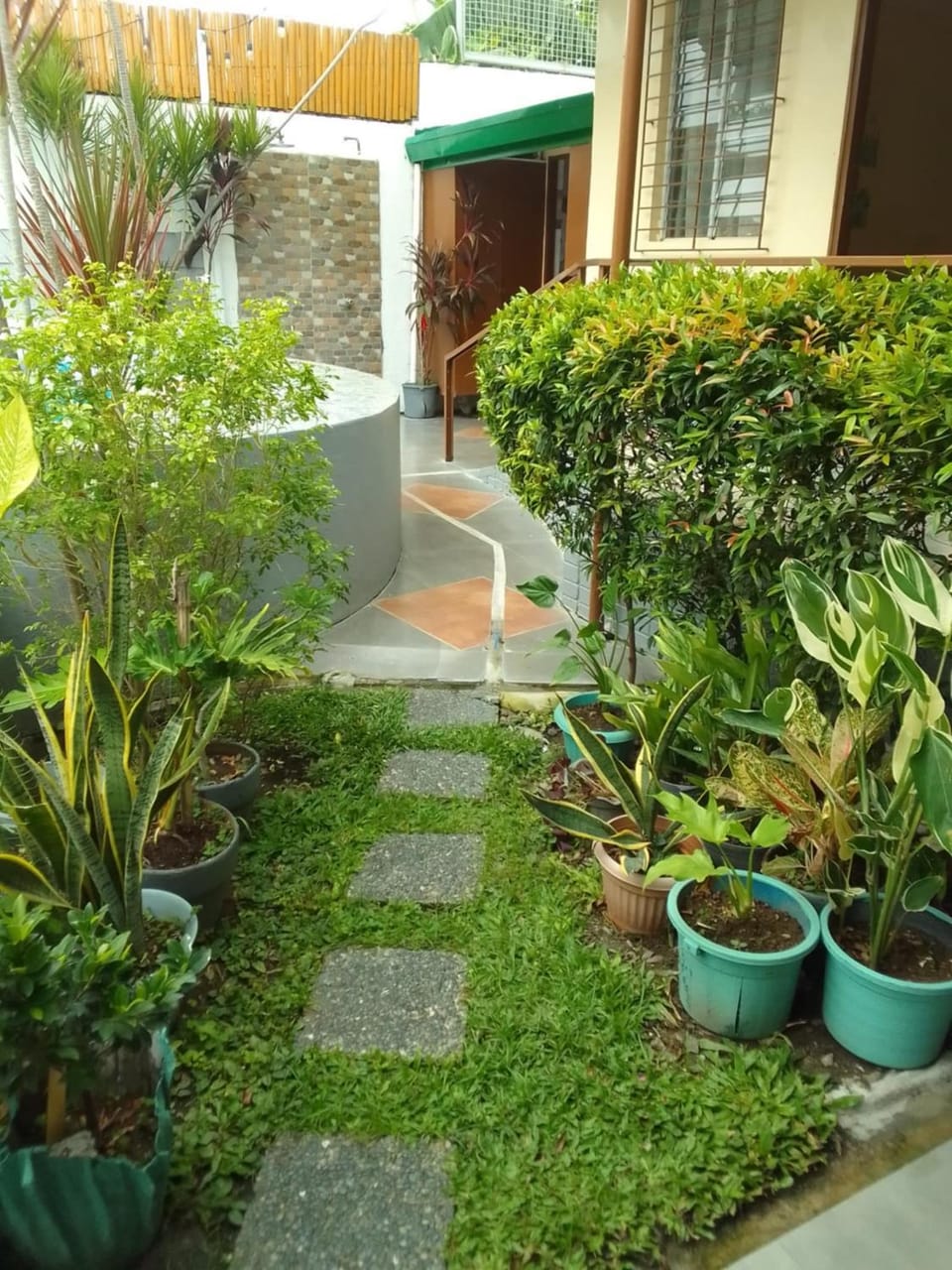 Garden view