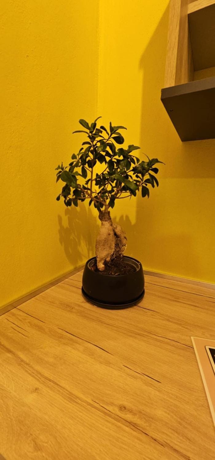 Alora House 2 Apartment in Kos, Greece