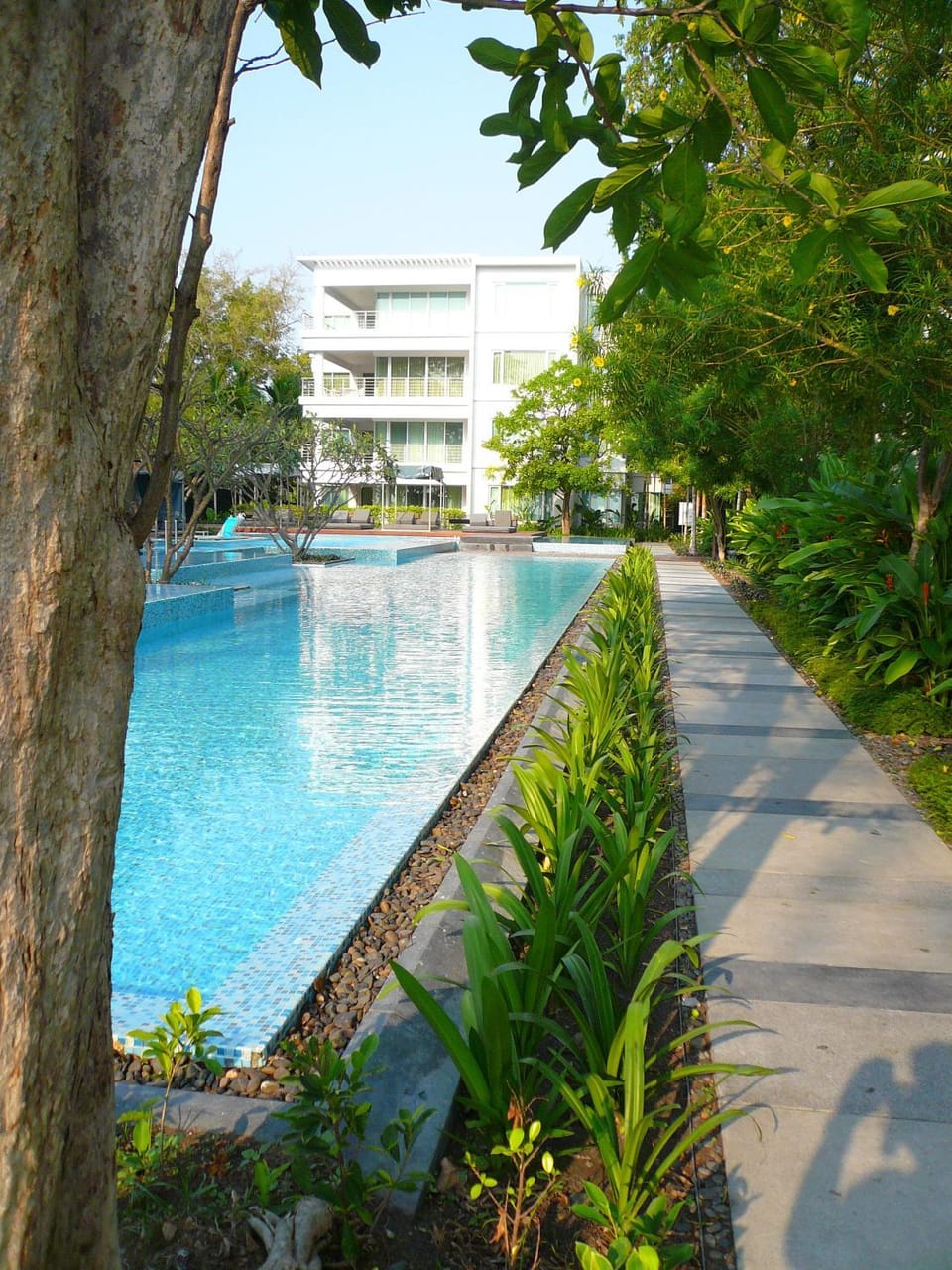 Pool view, Swimming pool