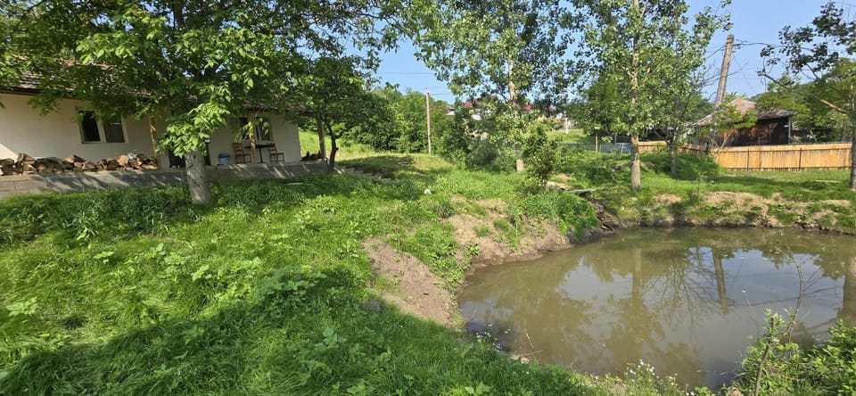 Garden, Garden view