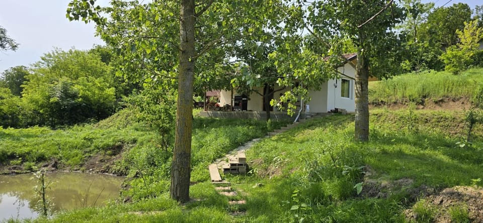 Garden, Garden view