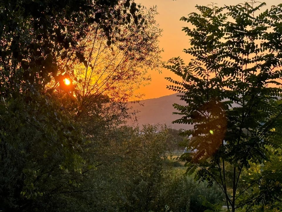 Natural landscape, Dining area