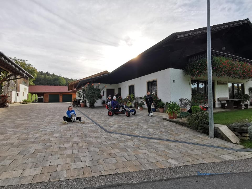 Property building, Garden view