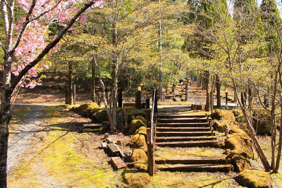 Nearby landmark, Spring, Day, Natural landscape, Garden, Garden view