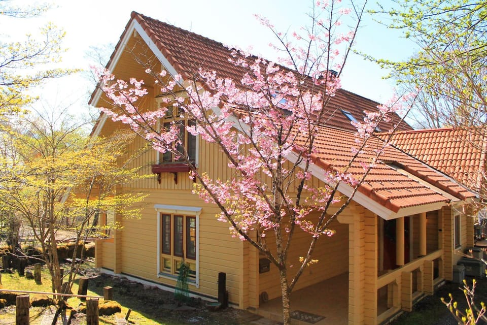 Property building, Spring, Day, Garden, Garden view