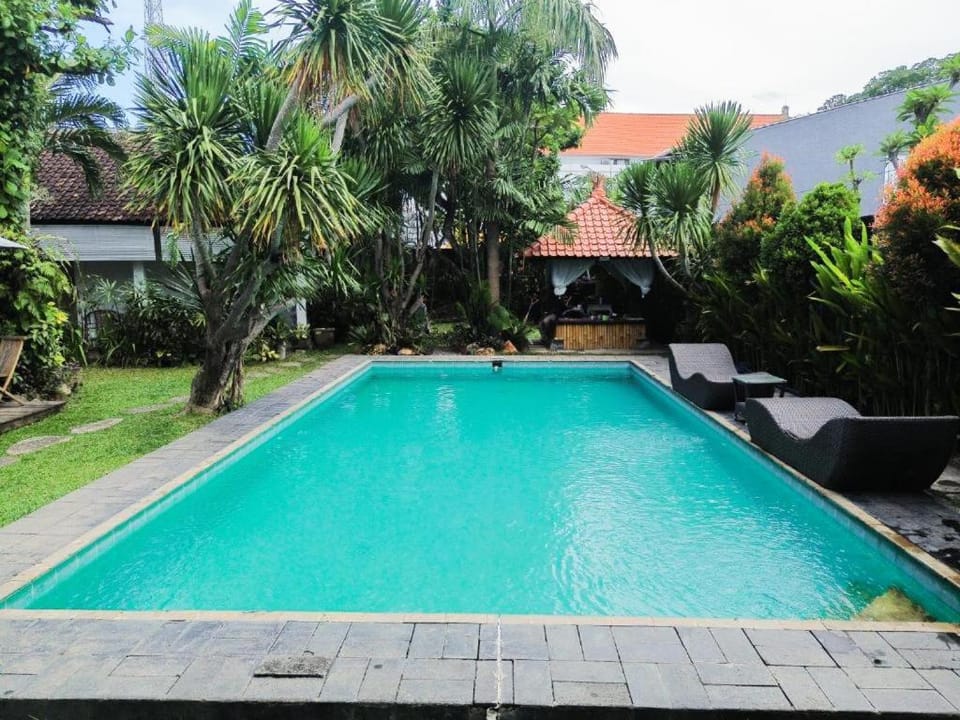 Day, Garden, Garden view, Pool view, Swimming pool, sunbed