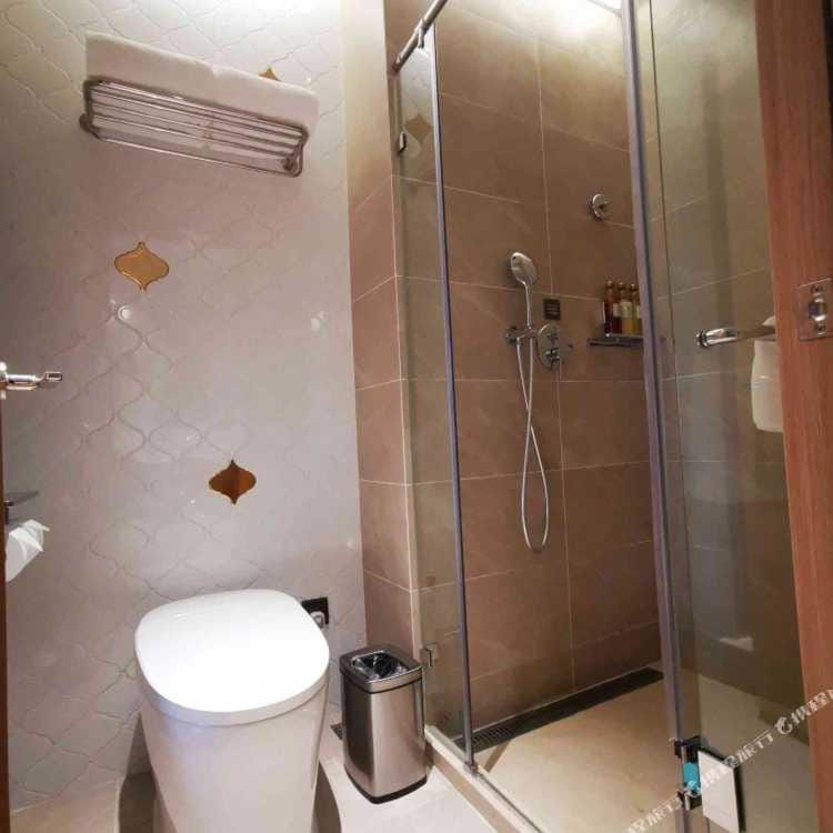 Shower, Toilet