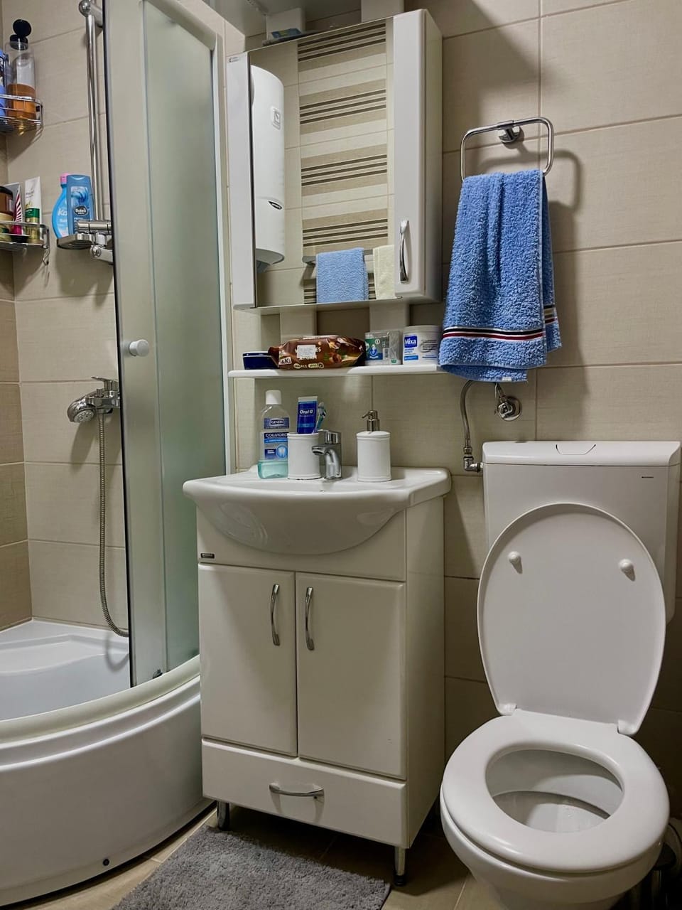 Shower, Toilet, Bathroom, towels