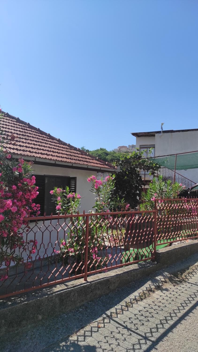 Property building, Garden, Garden view