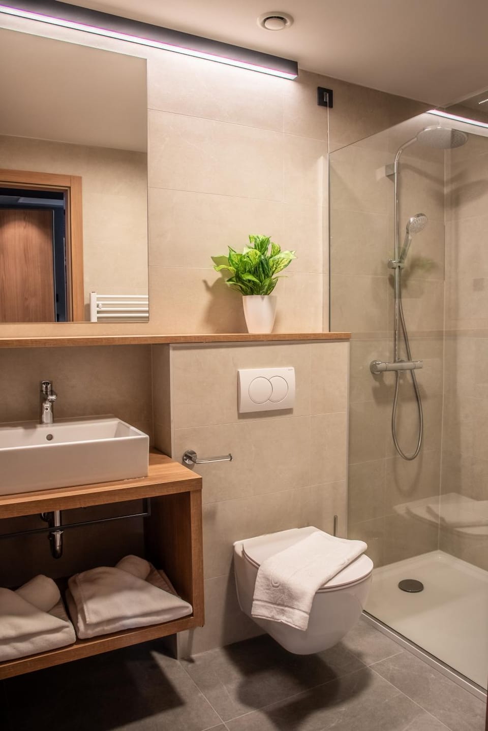 Shower, Toilet, Bathroom