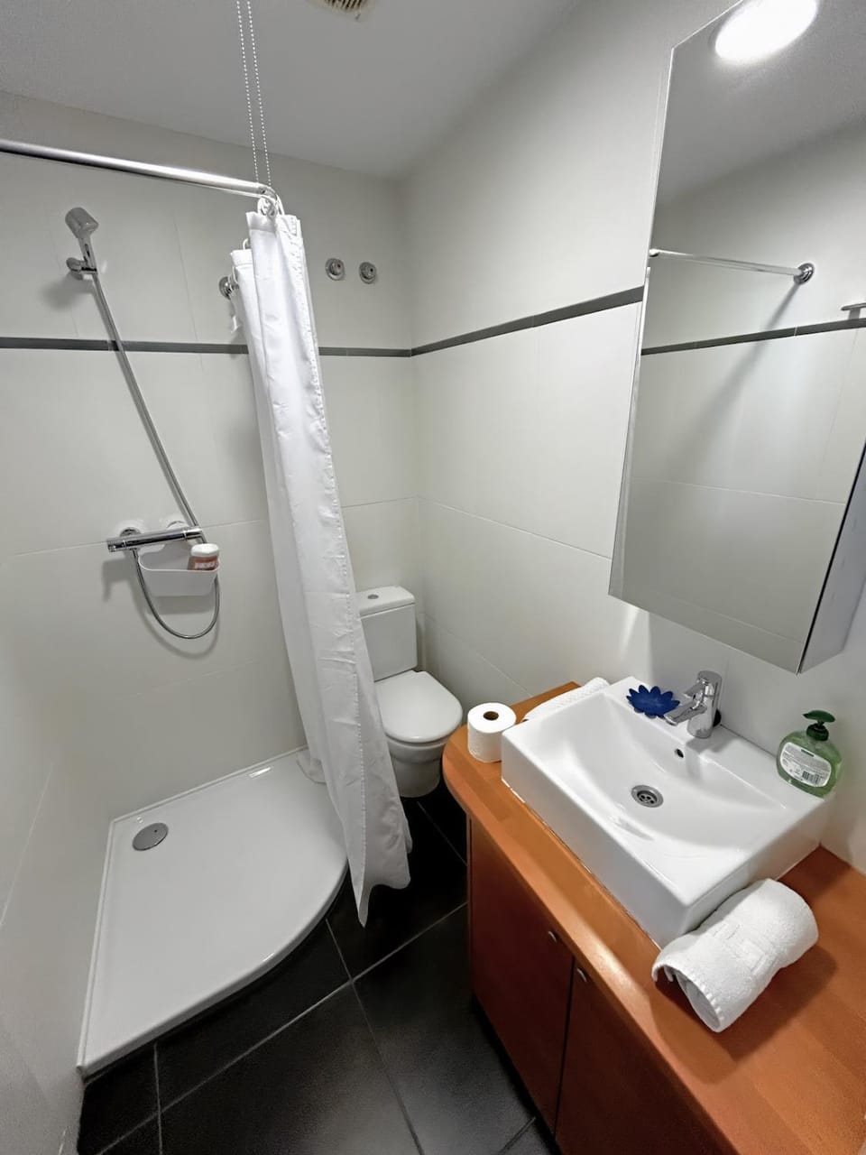 Shower, Toilet, Bathroom, towels