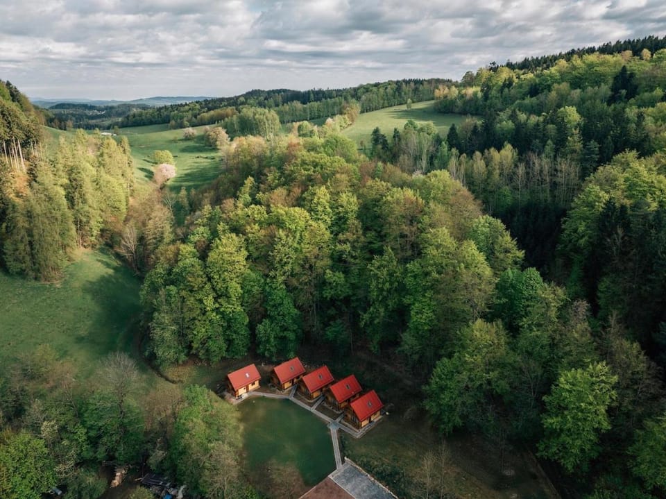 Agro Domki Pod Jesionem House in Lower Silesian Voivodeship