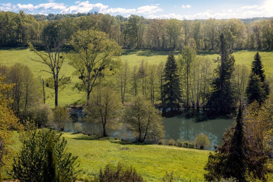 Maison Olivier - Charmant gîte au coeur du Périgord Vert, piscine spa et nature House in Nouvelle-Aquitaine