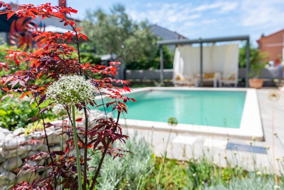 Superior Apartment with private Pool Apartment in Pula