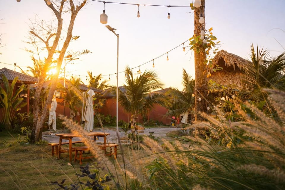 Spring, Day, Natural landscape, Garden, Garden view, Sunrise, Sunset