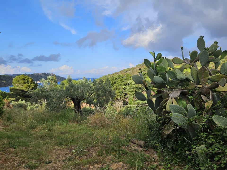 Natural landscape