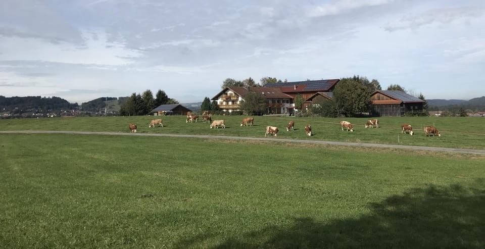 Biobauernhof Benihof - Ferienwohnung Alpenblick Apartment in Bavaria
