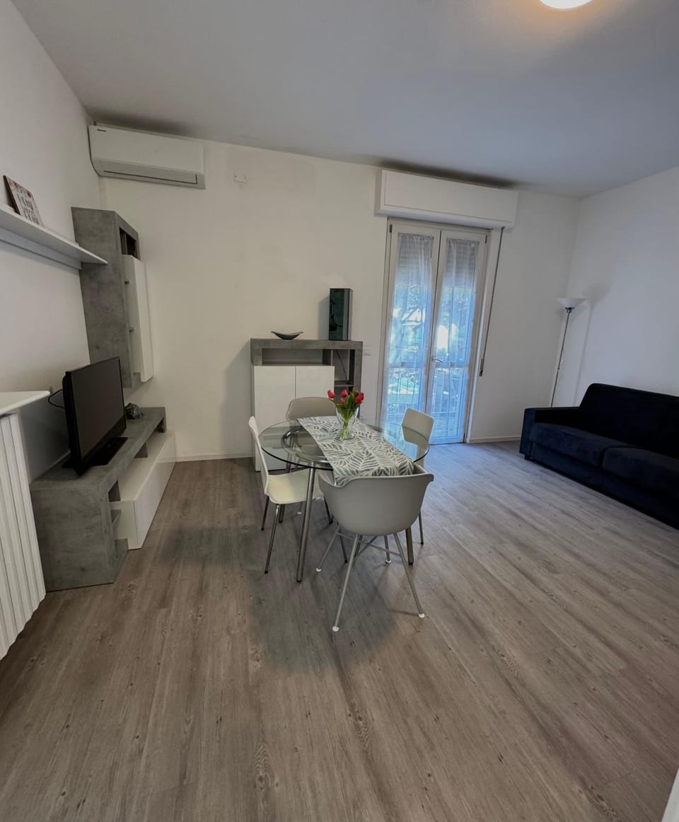 Living room, air conditioner