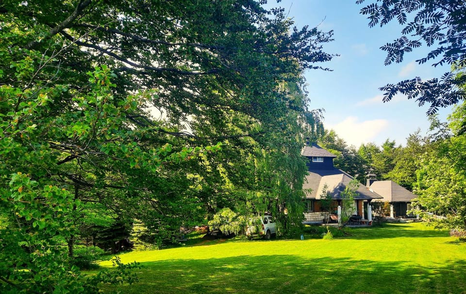 Property building, Spring, Day, Natural landscape, Garden, Garden view