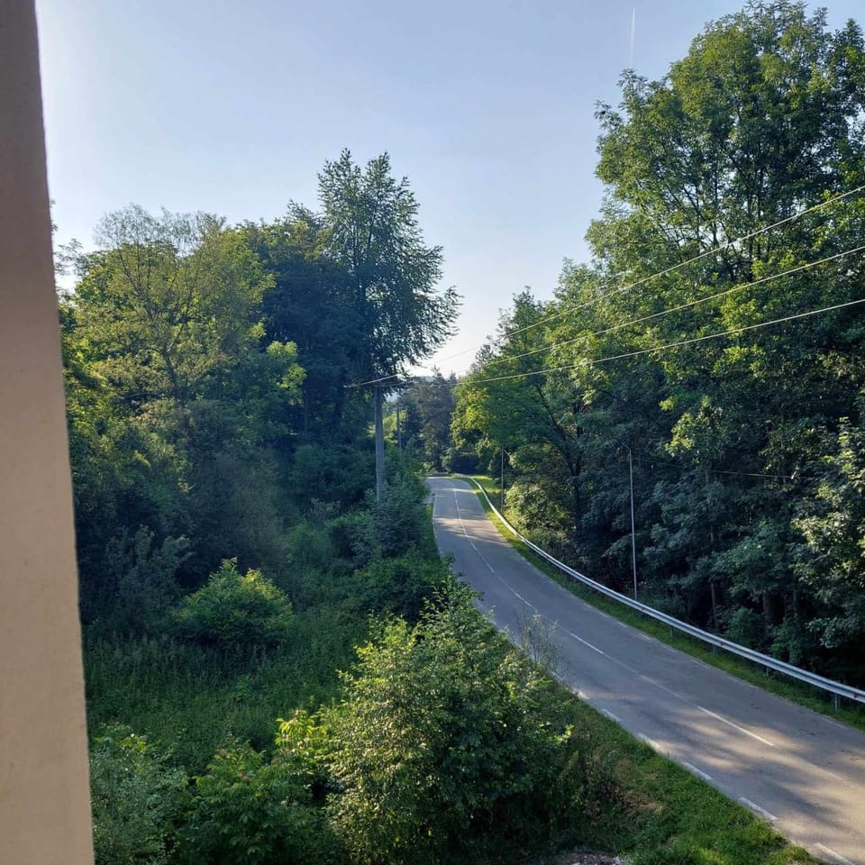 Casa Valea Arefului Vacation rental in Romania