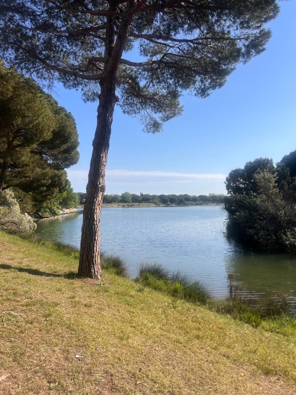 Les Appartements De Lina - Appartement East Land - Self Check-In - Apartment in La Grande-Motte
