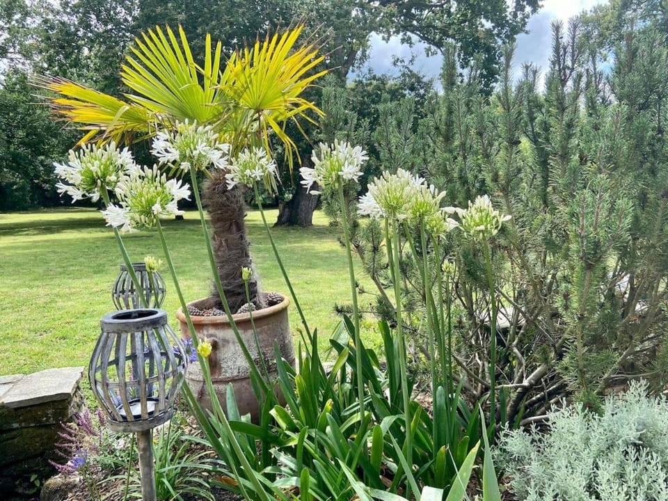Natural landscape, Garden, Garden view