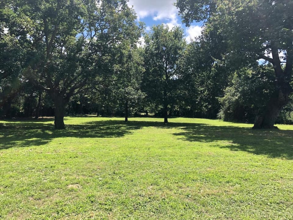 Natural landscape, Garden, Garden view
