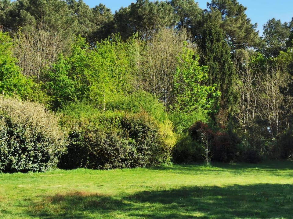 Natural landscape