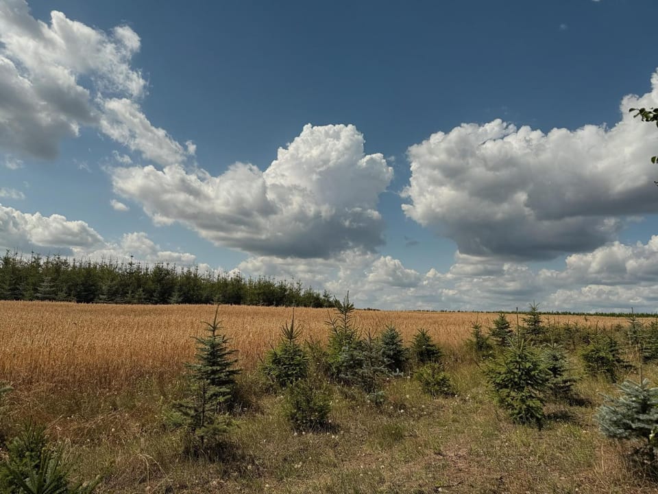 Natural landscape