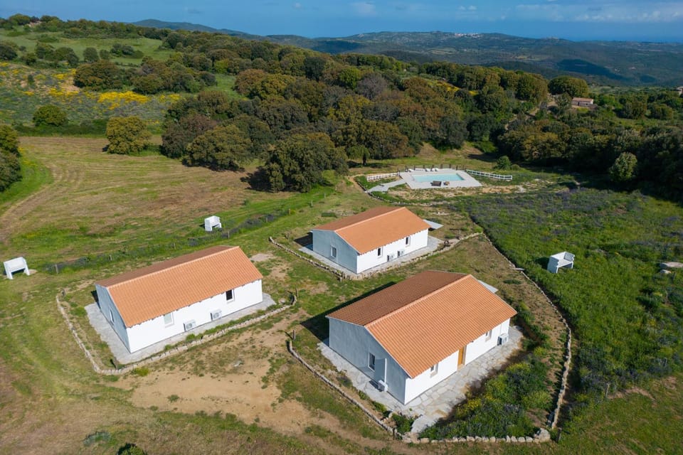 Property building, Day, Natural landscape, Bird's eye view, Garden, Swimming pool
