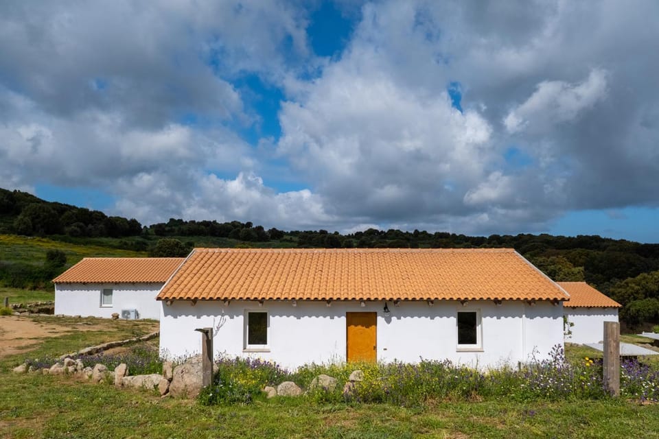 Property building, Day, Natural landscape