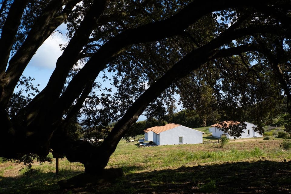 Property building, Natural landscape, Garden, Garden view